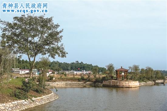 西龙镇万沟村。 万辽川 摄