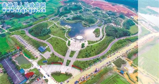 中国首家竹林湿地公园。 本报记者 古良驹 摄